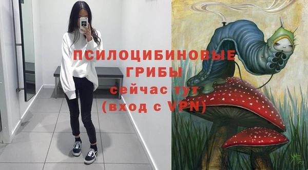 эйфоретик Михайлов
