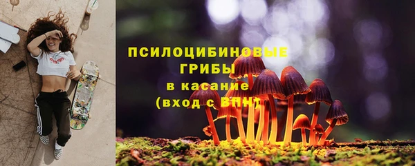 эйфоретик Михайлов